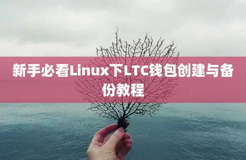 新手必看Linux下LTC钱包创建与备份教程