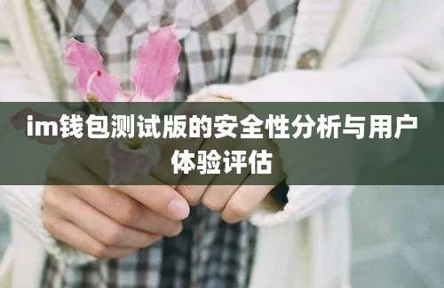 im钱包测试版的安全性分析与用户体验评估