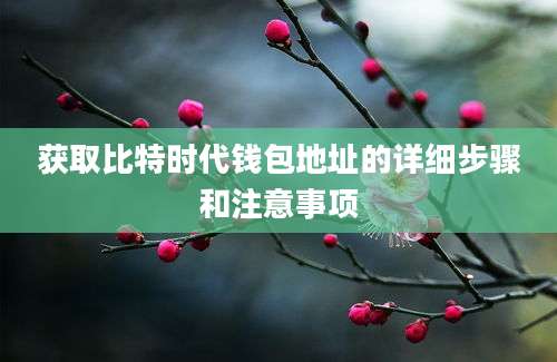 获取比特时代钱包地址的详细步骤和注意事项