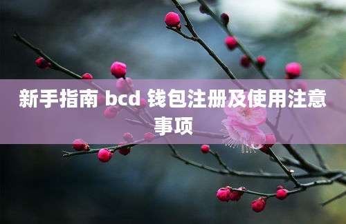 新手指南 bcd 钱包注册及使用注意事项