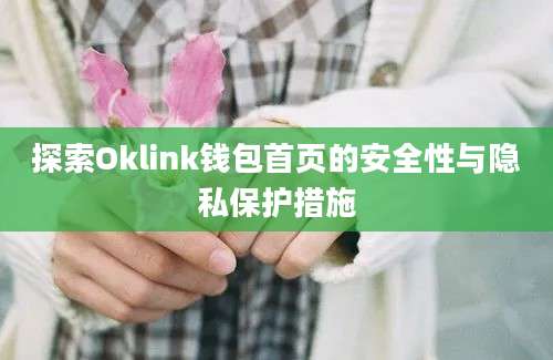 探索Oklink钱包首页的安全性与隐私保护措施