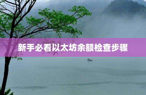 新手必看以太坊余额检查步骤