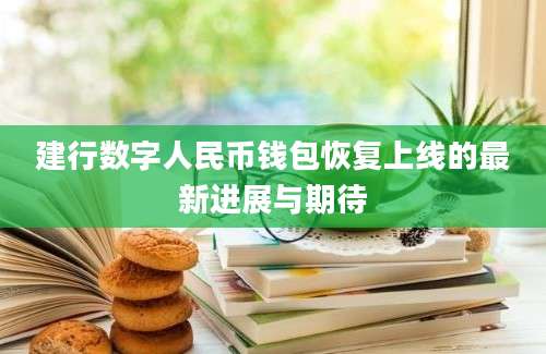 建行数字人民币钱包恢复上线的最新进展与期待