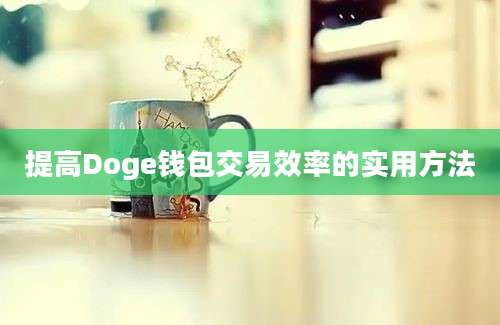 提高Doge钱包交易效率的实用方法