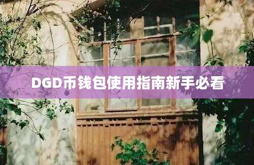 DGD币钱包使用指南新手必看