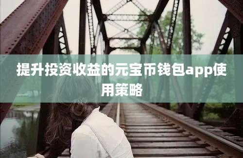 提升投资收益的元宝币钱包app使用策略