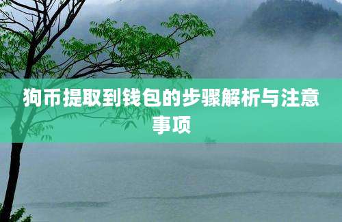 狗币提取到钱包的步骤解析与注意事项