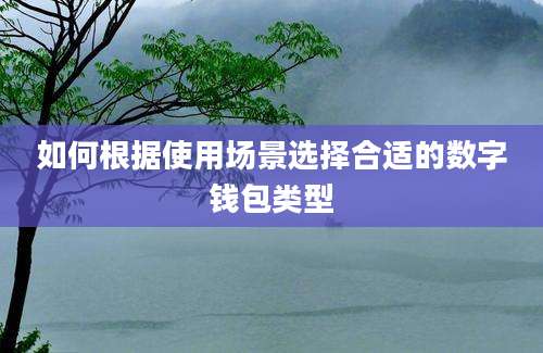 如何根据使用场景选择合适的数字钱包类型