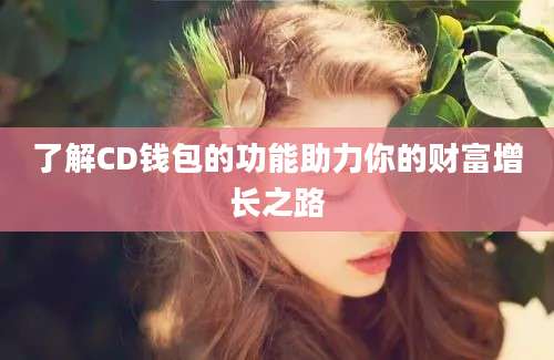 了解CD钱包的功能助力你的财富增长之路