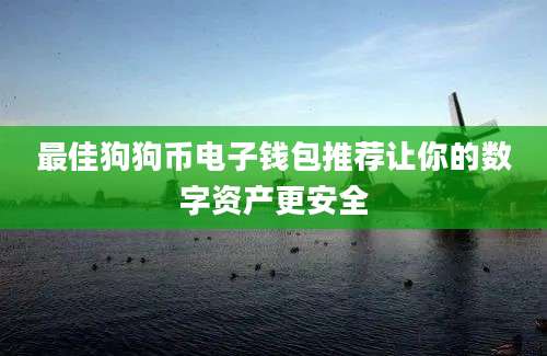 最佳狗狗币电子钱包推荐让你的数字资产更安全