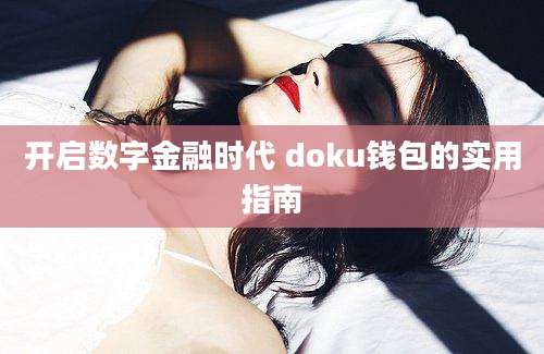 开启数字金融时代 doku钱包的实用指南