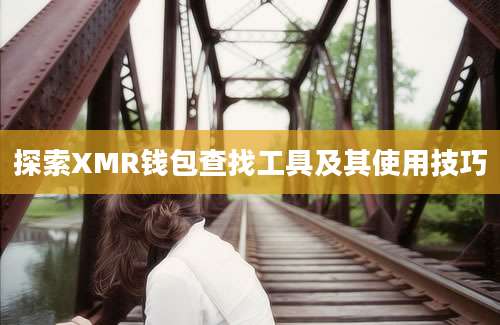 探索XMR钱包查找工具及其使用技巧