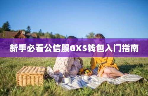 新手必看公信股GXS钱包入门指南