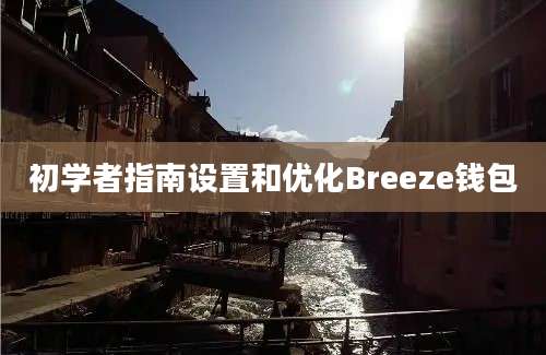 初学者指南设置和优化Breeze钱包