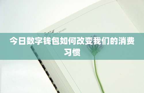 今日数字钱包如何改变我们的消费习惯