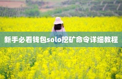 新手必看钱包solo挖矿命令详细教程