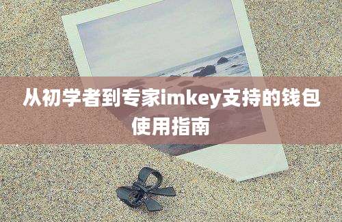 从初学者到专家imkey支持的钱包使用指南