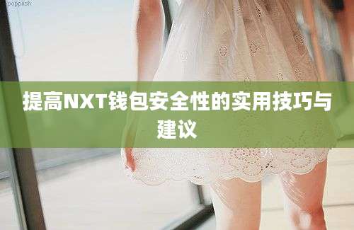 提高NXT钱包安全性的实用技巧与建议