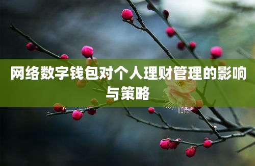 网络数字钱包对个人理财管理的影响与策略