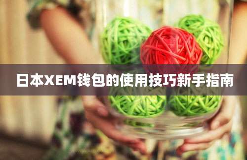 日本XEM钱包的使用技巧新手指南