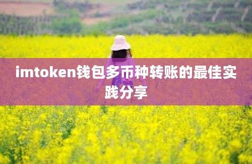 imtoken钱包多币种转账的最佳实践分享