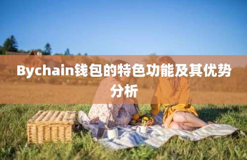 Bychain钱包的特色功能及其优势分析