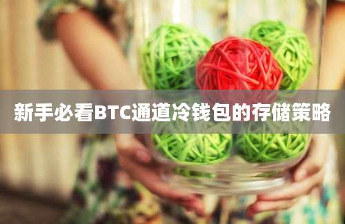 新手必看BTC通道冷钱包的存储策略