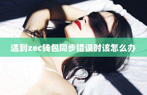 遇到zec钱包同步错误时该怎么办