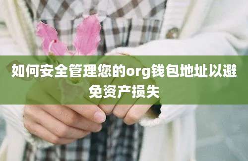 如何安全管理您的org钱包地址以避免资产损失