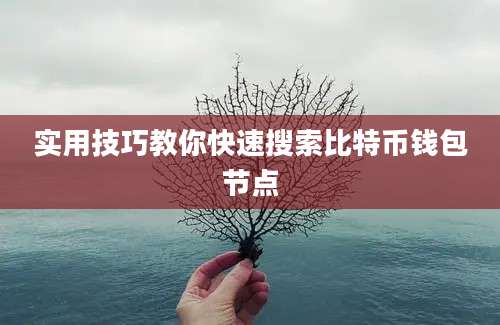 实用技巧教你快速搜索比特币钱包节点