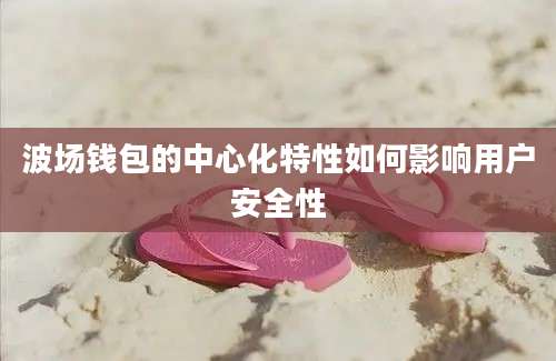 波场钱包的中心化特性如何影响用户安全性