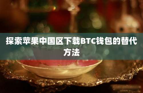 探索苹果中国区下载BTC钱包的替代方法