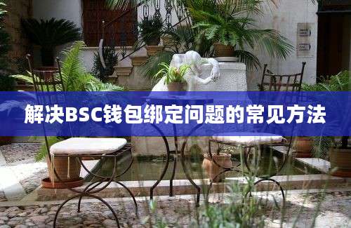 解决BSC钱包绑定问题的常见方法