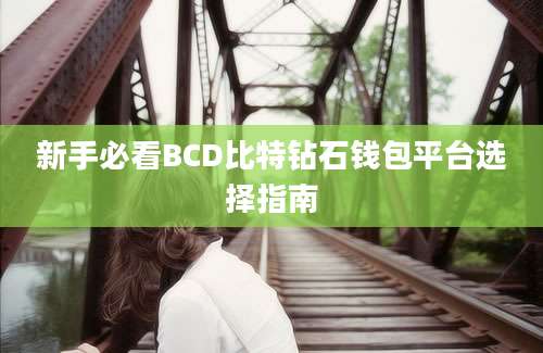 新手必看BCD比特钻石钱包平台选择指南