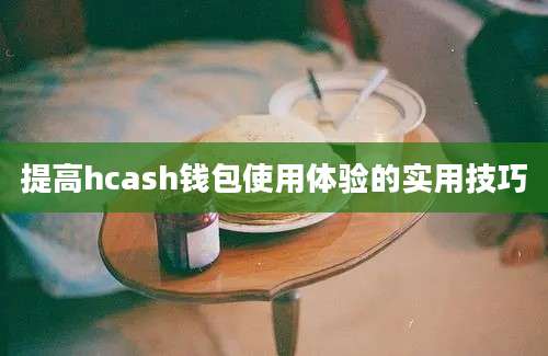 提高hcash钱包使用体验的实用技巧