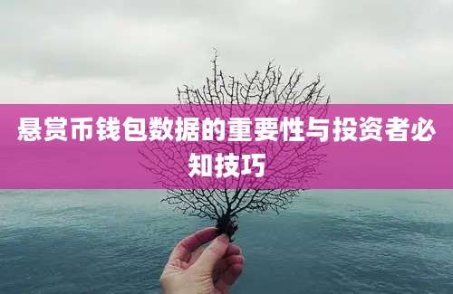 悬赏币钱包数据的重要性与投资者必知技巧