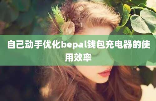 自己动手优化bepal钱包充电器的使用效率