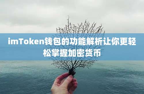 imToken钱包的功能解析让你更轻松掌握加密货币