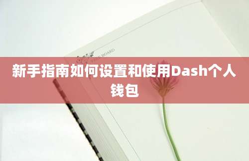 新手指南如何设置和使用Dash个人钱包