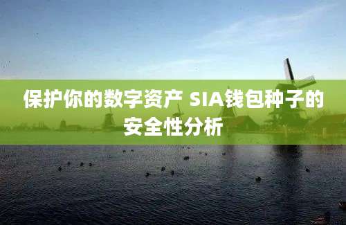 保护你的数字资产 SIA钱包种子的安全性分析