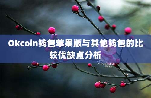 Okcoin钱包苹果版与其他钱包的比较优缺点分析