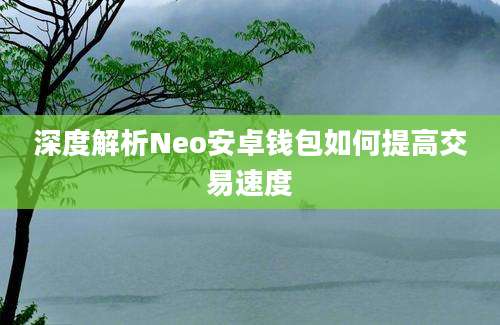 深度解析Neo安卓钱包如何提高交易速度