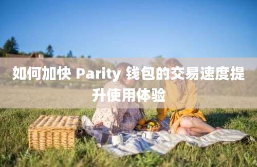 如何加快 Parity 钱包的交易速度提升使用体验