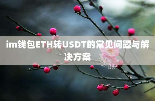 im钱包ETH转USDT的常见问题与解决方案