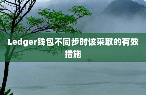 Ledger钱包不同步时该采取的有效措施