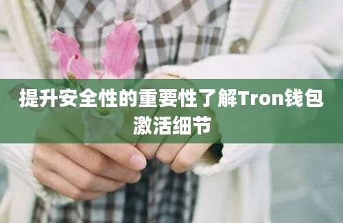 提升安全性的重要性了解Tron钱包激活细节