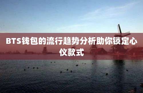 BTS钱包的流行趋势分析助你锁定心仪款式