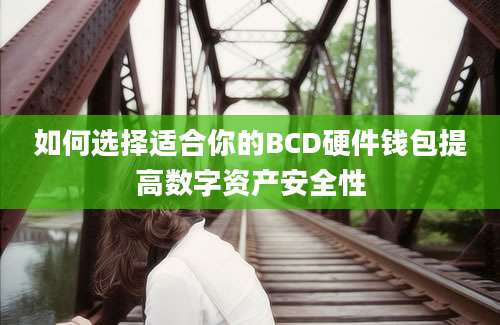 如何选择适合你的BCD硬件钱包提高数字资产安全性