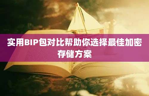 实用BIP包对比帮助你选择最佳加密存储方案