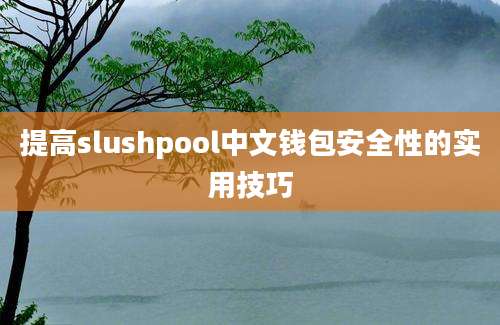 提高slushpool中文钱包安全性的实用技巧